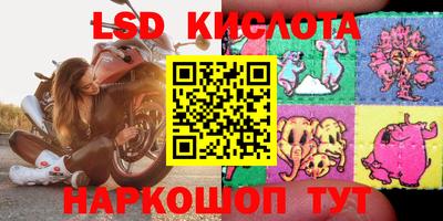 стаф Тверь