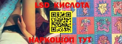стаф Тверь