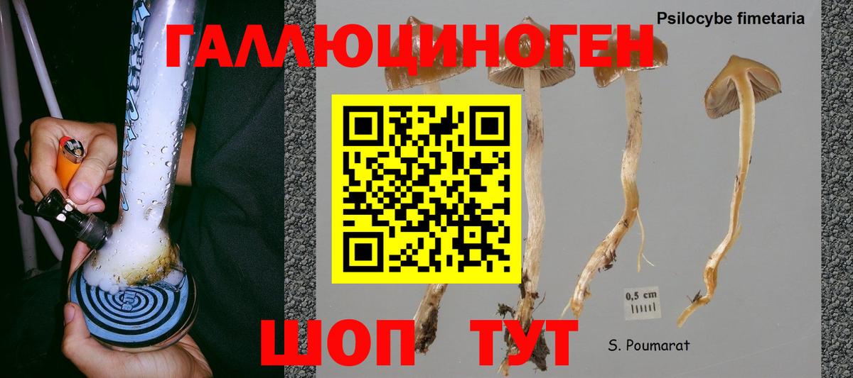 Галлюциногенные грибы GOLDEN TEACHER  Галлюциногенные грибы MAGIC MUSHROOMS  Тимашёвск  Вход с VPN 